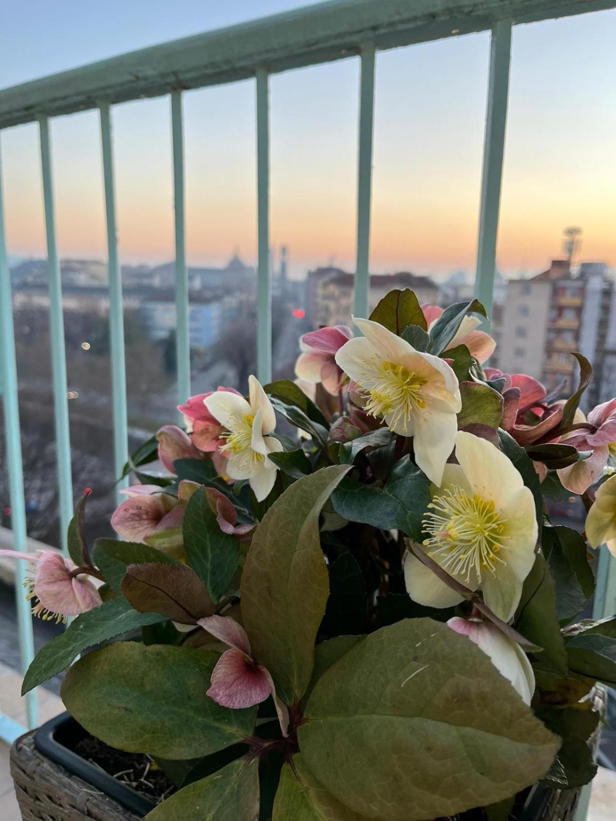 Attico Ellen Terrazza Con Vista Apartment Торино Екстериор снимка