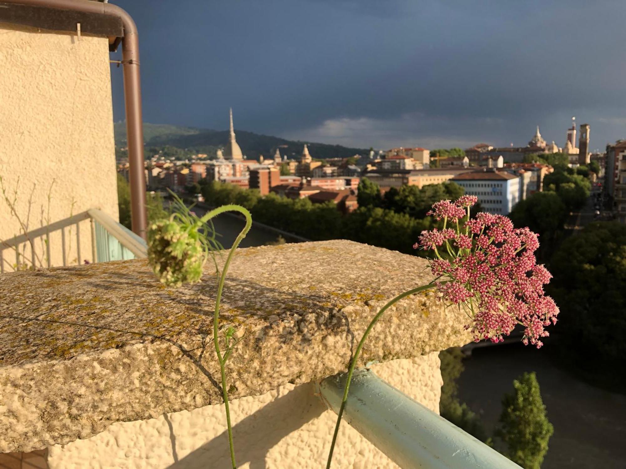 Attico Ellen Terrazza Con Vista Apartment Торино Екстериор снимка